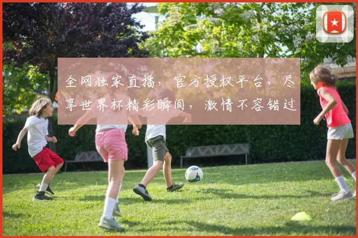 全网独家直播，官方授权平台，尽享世界杯精彩瞬间，激情不容错过，抢购从速，速来体验