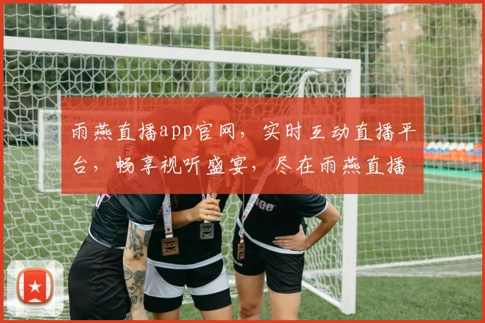 雨燕直播app官网，实时互动直播平台，畅享视听盛宴，尽在雨燕直播，快来体验