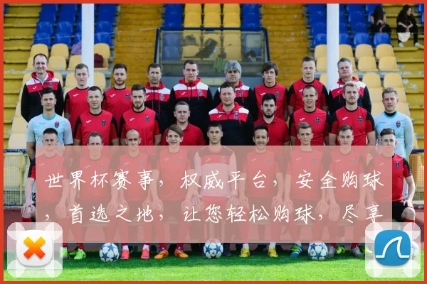 世界杯赛事，权威平台，安全购球，首选之地，让您轻松购球，尽享激情